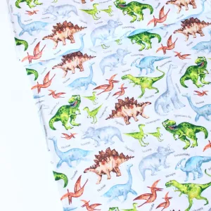 Dino And Names White