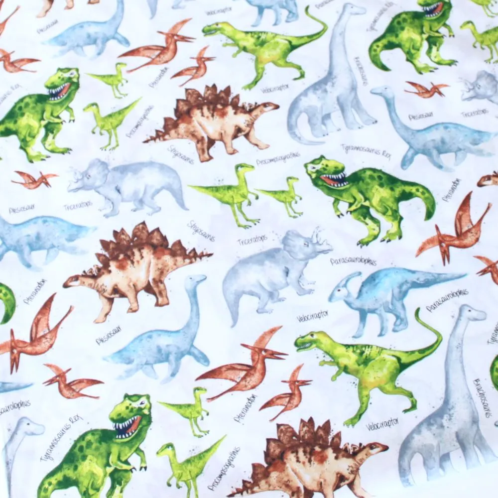Dino And Names White