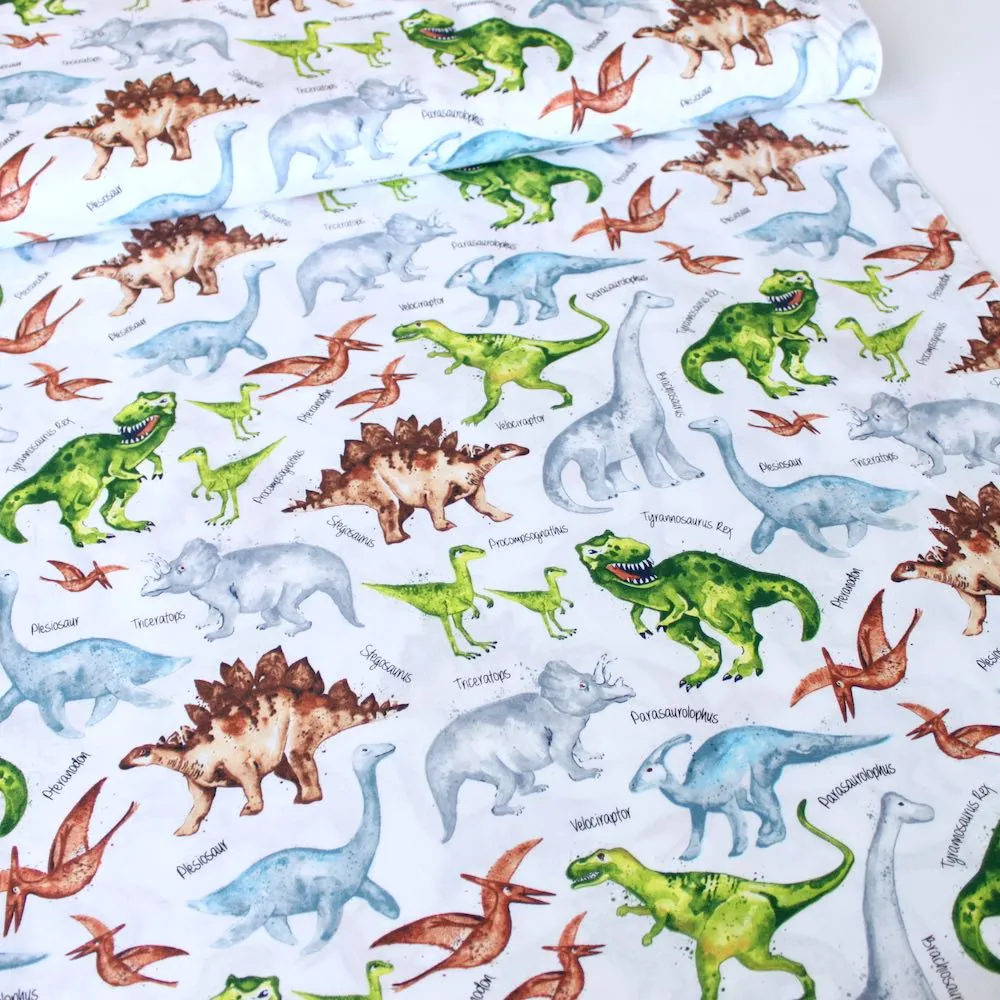 Dino And Names White