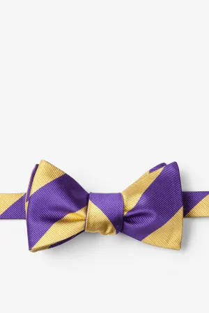 Purple and Gold Stripe - Collegiate Stripe Necktie: Self-tie Bowtie or Necktie